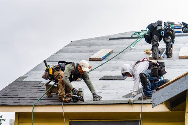 Professional Gutter Installation technician working in Mooseheart, IL